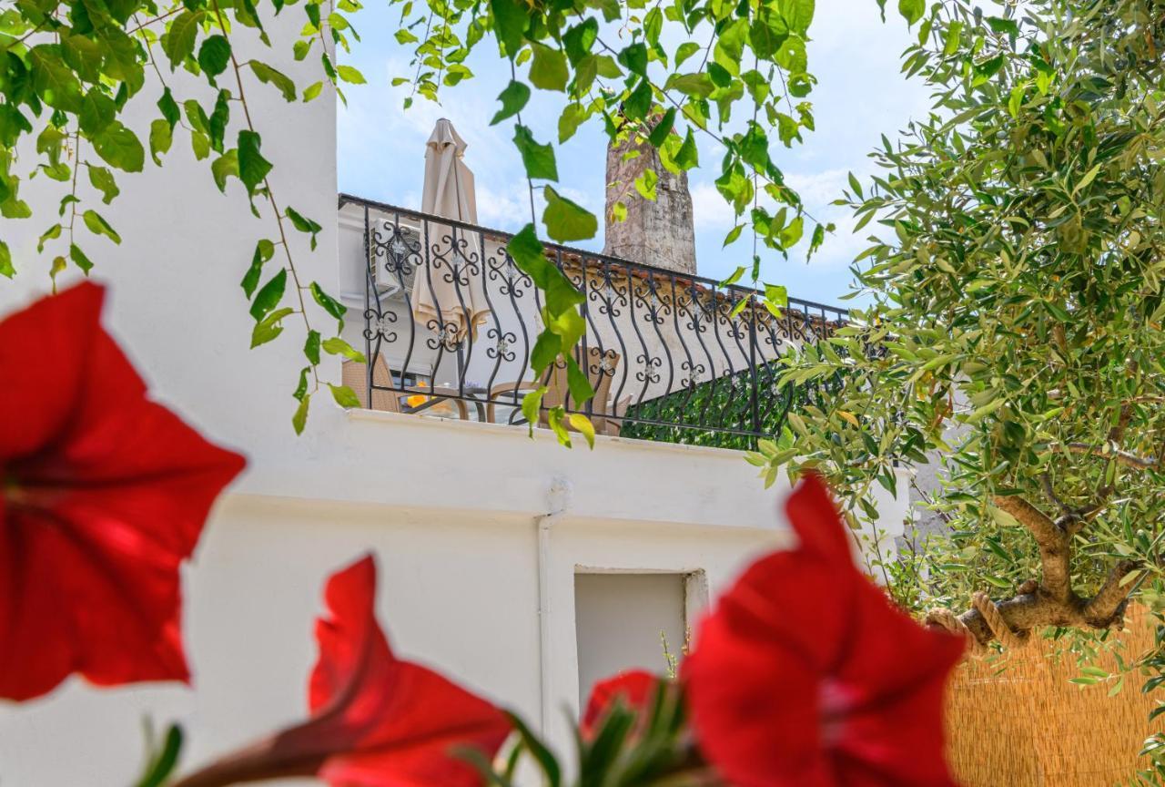 Apartment La Maison